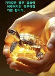 2026년 반짝이는 새해 당신의 해가 되시길 바랍니다 ( 새해 복많이 받으세요 ) - 📷예쁜글움짤이미지(gif) - 💜산야와 한울타리💜 2026년... 
