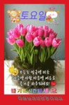 25/8/9/말복/토요일 - 누구나 자유 게시판 - 파평윤씨(대종회) 25/8/9/말복/토요일