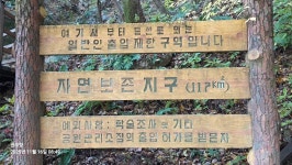 금오산 - ┃게시판 - 권오창 금오산