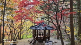 금오산 - ┃게시판 - 권오창 금오산