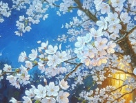 다양한 풍경 이미지 - ‥‥ⓔ미지 ♡ 자료실 - 향기있는 좋은글 향기있는 좋은글