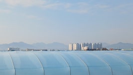 다시 로컬푸드 농장으로 - 주오돈 창작실 - 가락문학회 garakmunhak 가락문학회 garakmunhak