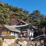 정초 3사 순례 - 남양주시 봉선사, 양주시 회암사, 석굴암 1/2 - ....불교 회관 행사 사진 - 인천불교회관 인천불교회관