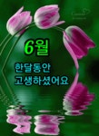 6월달 수고하셨습니다. - ▣ ―·· 스 킨 꾸 미 기 - 가난한 자입니다 6월달 수고하셨습니다.