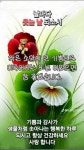 변함없는 마음 - ▣ ―·· 행복한 사람들 - 가난한 자입니다 변함없는 마음