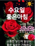 변함없는 마음 - ▣ ―·· 행복한 사람들 - 가난한 자입니다 변함없는 마음