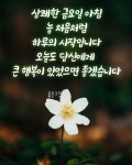 금요일 - º━---※ 인사요일안부 - 행복한 장소(장미와소나무) 금요일