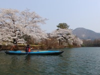 2023년 카약투어일정안내 - 휴일투어 함께해요(holiday kayaking) - 카약과 캠핑 2023년 카약투어일정안내
