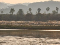 남한강 충주 목계~부론까지22km - cheer up! 2021~2년 투어후기 - 카약과 캠핑 남한강 충주 목계~부론까지22km