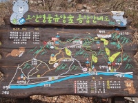 {숨은명산 2026년3월21일 토요일}▷구례 오산 사성암 & 둥주리봉 산수유마을경유+ - ―2 토요산행 안내 및 신청 - 대전충일투어산악회... 