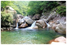 [테마 2026년 7월 11일 토요일] 지리산 삼신봉 남부능선 & 대성골 서산대사길 계곡산행 - ―1 토요산행 안내 및 신청 - 대전충일투어산악회... 
