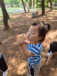 시민공원으로 숲 놀이 다녀왔어요~~ - 노랑둥지반 - 익산딩동댕어린이집 시민공원으로 숲 놀이 다녀왔어요~~