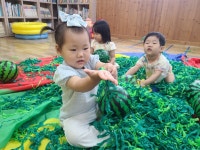 수박 밭에 왔어요~~ - 노랑둥지 1반 - 익산딩동댕어린이집 수박 밭에 왔어요~~
