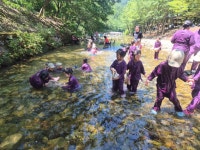 여름숲활동ㅡ고산자연휴양림 - 분홍꽃잎반 - 익산딩동댕어린이집 여름숲활동ㅡ고산자연휴양림