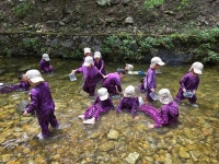 고산휴양림~신나는 물놀이^^!! - 누리숲반(5,6,7세) - 익산딩동댕어린이집 고산휴양림~신나는 물놀이^^!!