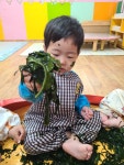 미역으로 즐기는 오감 놀이~~ - 노랑둥지 1반 - 익산딩동댕어린이집 미역으로 즐기는 오감 놀이~~