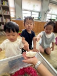 콜덕, 매추리 친구들을 만났어요^^ - 연두잎새반 - 익산딩동댕어린이집 콜덕, 매추리 친구들을 만났어요^^