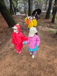 숲에 다녀왔어요^^!! - 누리숲반(5,6,7세) - 익산딩동댕어린이집 숲에 다녀왔어요^^!!