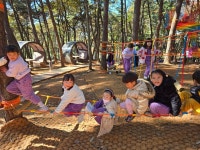 신흥유아숲체험~ - 누리숲반(5,6,7세) - 익산딩동댕어린이집 신흥유아숲체험~