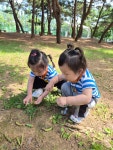 시민공원으로 숲 놀이 다녀왔어요~~ - 노랑둥지반 - 익산딩동댕어린이집 시민공원으로 숲 놀이 다녀왔어요~~