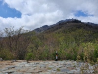 지리산국립공원 중산리-법계사(1,450m) 산행! - └─▶ 일반 사진방 - 무아투어 지리산국립공원 중산리-법계사(1,450m) 산행!
