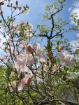 지리산국립공원 중산리-법계사(1,450m) 산행! - └─▶ 일반 사진방 - 무아투어 지리산국립공원 중산리-법계사(1,450m) 산행!