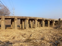 창릉천 - 산,바다,여행 - 청주상고37회동창회 창릉천