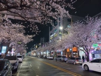 2025. 4월 풍경 - 산,바다,여행 - 청주상고37회동창회 2025. 4월 풍경