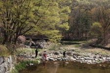 세상은 눈부시도록 아름다워... 공주 마곡사 풍경 (4/16) - ▒ ♣。베니 - 우여향 (雨餘香) 세상은 눈부시도록 아름다워... 공주 마곡사 풍경 (4/16)