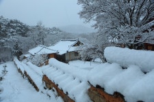 새하얀 눈이 소복소복 / 설경 - 사진들 - 육군3사관학교 4기 동기회(사성회) 새하얀 눈이 소복소복 / 설경
