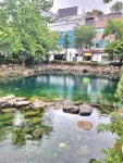 낙동강발원지 태백 황지연못(2025. 9. 9.) - ◈― 산풍경♡ ♡사진방 - 전북 중앙 산악회 전북 중앙 산악회