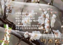햇살이 머무는 곳 - ―····문예ノ창작자작글 - 좋은 글과 좋은 음악이 있는 곳 햇살이 머무는 곳