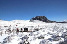 제주도 한라산 윗세오름 설경(1) - 좋은사진 - 배방초등학교27회 제주도 한라산 윗세오름 설경(1)