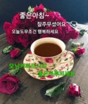 아침을 여는 마음의 커피 한 잔 - ―····감동ノ감동좋은글 - 좋은 글과 좋은 음악이 있는 곳 아침을 여는 마음의 커피 한 잔