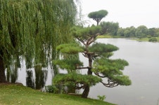 시카고 보타닉 가든 - (우)**풍경*풍물 사진실 - 음악과 영상의 사랑 음악과 영상의 사랑