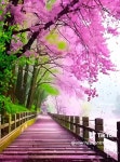 아름다운 봄풍경 - ―····배경ノ이쁜이미지 - 좋은 글과 좋은 음악이 있는 곳 아름다운 봄풍경