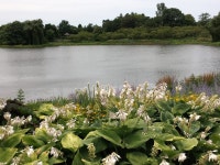 시카고 보타닉 가든 - (우)**풍경*풍물 사진실 - 음악과 영상의 사랑 음악과 영상의 사랑