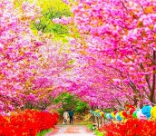 가슴에 기쁨을 가득 담아라 - ‥‥향기 ♡ 좋은글 - 향기있는 좋은글 가슴에 기쁨을 가득 담아라