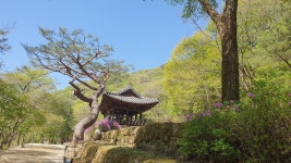 문경 새재 - ☞ ● --- 경치 풍경 - 서라벌의 향기 문경 새재