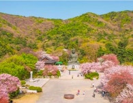 가슴에 기쁨을 가득 담아라 - ‥‥향기 ♡ 좋은글 - 향기있는 좋은글 가슴에 기쁨을 가득 담아라