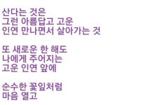 당신과의 고운 인연을 위하여 - ‥‥공유 ♡ 좋은글 - 향기있는 좋은글 당신과의 고운 인연을 위하여