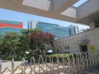 *5/17. 총동문 체육대회 - 동창 사진방 - 성동공업고등학교 제14회 동창회 *5/17. 총동문 체육대회