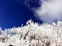 [319차] 부춘산악회 2026년 2월 08일 강원 함백산 심설 산행 안내 - 정기 산행 신청 - 서산 부춘산악회 [319차] 부춘산악회 2026년 2월 08일... 