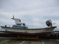 11월16일 싸리골산악회 27주년 기념, 동해바다 주전 해안길 트레킹 - 자유게시판 - 구미 싸리골 산악회 11월16일 싸리골산악회 27주년 기념... 