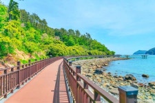 1월 18일 거제옥화마을&해변상상산책길&지세포공원&거제돔식물원 트레킹 - 자유게시판 - 구미 싸리골 산악회 1월 18일 거제옥화마을... 