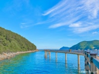 1월 18일 거제옥화마을&해변상상산책길&지세포공원&거제돔식물원 트레킹 - 자유게시판 - 구미 싸리골 산악회 1월 18일 거제옥화마을... 