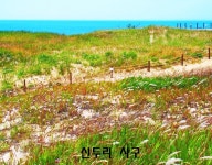 태안 해변길 1코스(바라길) 트레킹 안내 - 자유게시판 - 구미 싸리골 산악회 태안 해변길 1코스(바라길) 트레킹 안내