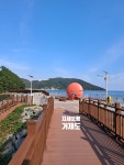 1월 18일 거제옥화마을&해변상상산책길&지세포공원&거제돔식물원 트레킹 - 자유게시판 - 구미 싸리골 산악회 1월 18일 거제옥화마을... 