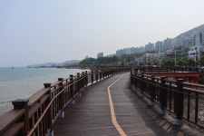 12월 21일 여수소호동동다리&이충무공선소유적&장도&국동수변공원(남파랑길55코스) 트레킹 - 자유게시판 - 구미 싸리골 산악회 12월 21일... 