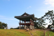 서천 동백나무숲 동백정&쭈꾸미축제 떠나요~ - 자유게시판 - 구미 싸리골 산악회 서천 동백나무숲 동백정&쭈꾸미축제 떠나요~